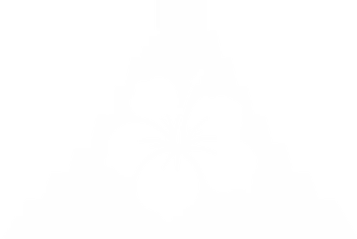 logo flores y regalos cancun