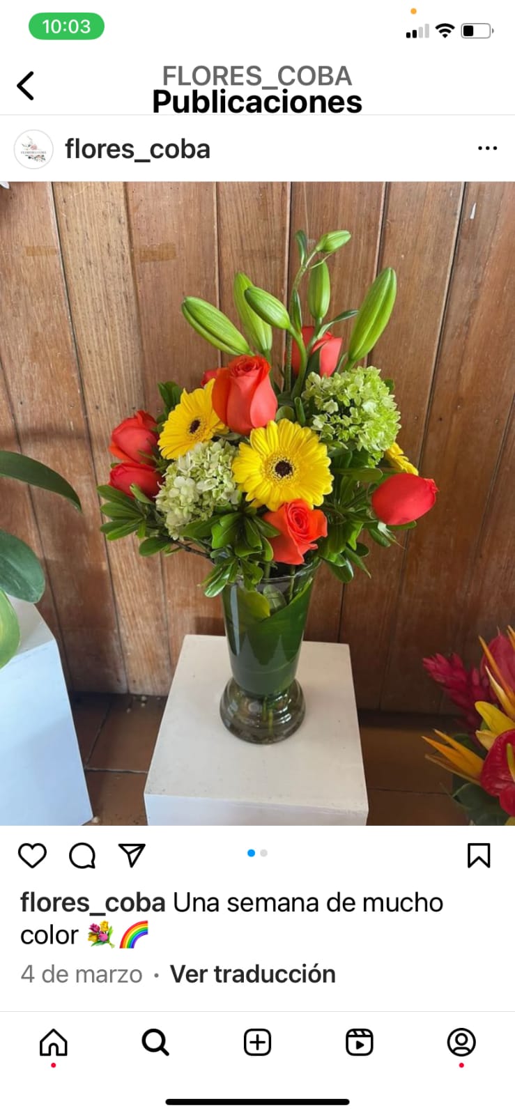 Tropical Floral Arrangement in Cancun, real catalog photograph